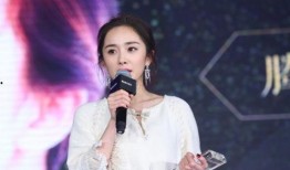 明星黑料被澄清后能洗白吗 体育圈饭圈 朝阳吃瓜51cg,体育圈饭圈风云再起，朝阳吃瓜51cg见证洗白奇迹